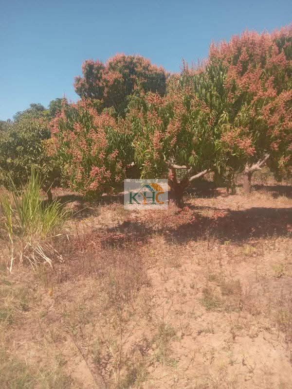3 ACRES OF PRIME LAND FOR SALE