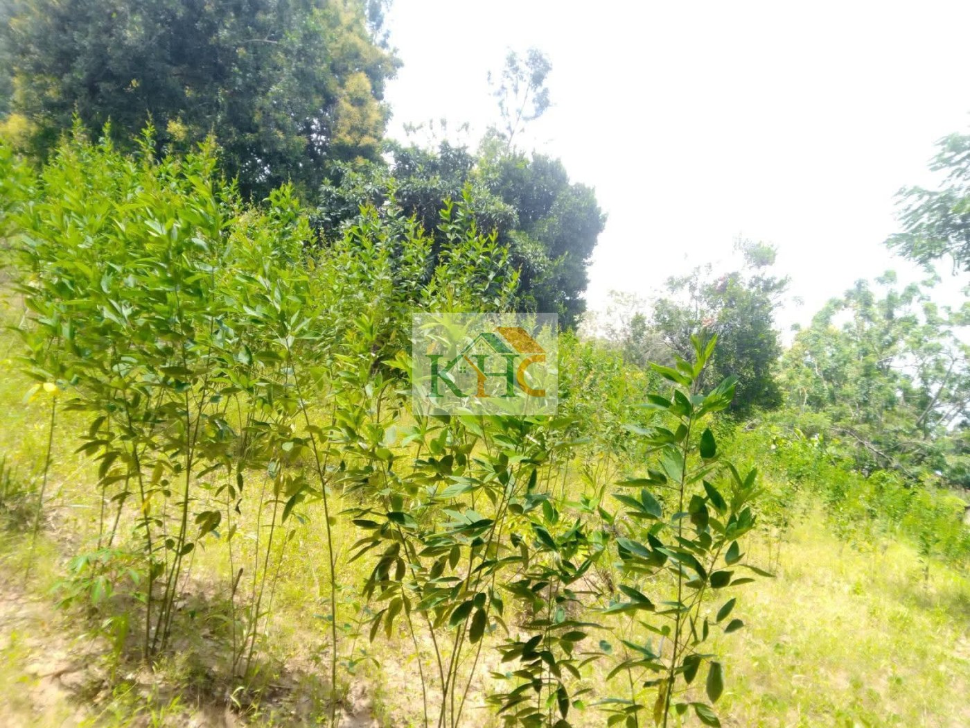 1 acre land for sale, Kangundo